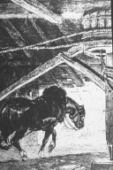 Illustration of horse working whims