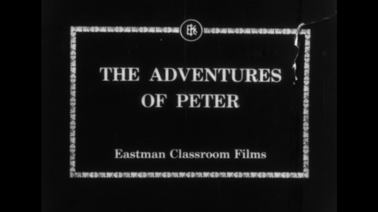 The adventures of Peter