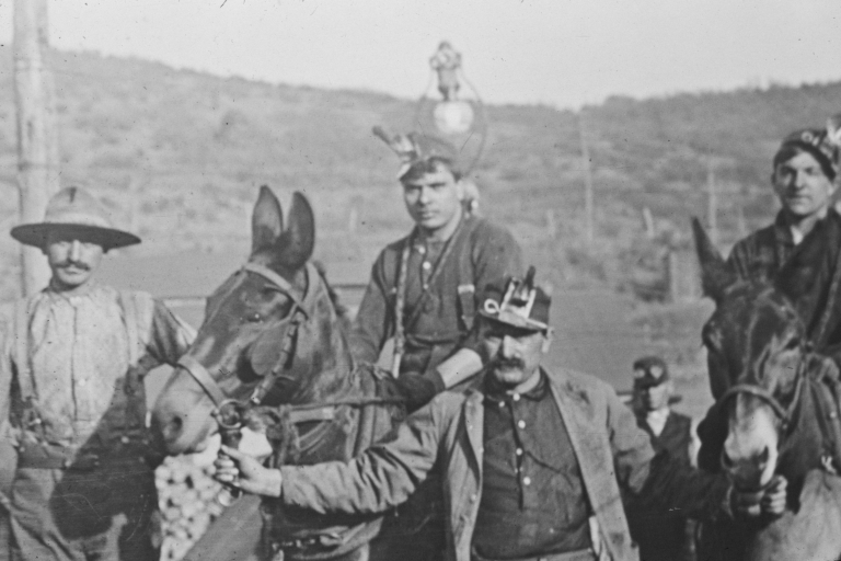Miners pose with mules in Wootton, Colorado