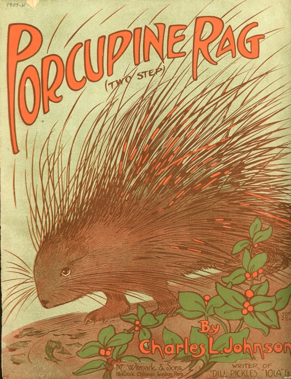 Porcupine rag